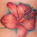 tattoo galleries/ - tiger lily tattoo