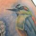 tattoos/ - torogoz tattoo with flor de izote - 63874