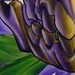 Tattoos - skull in purples - 48770