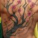 tattoos/ - Cherry Blossom tree, work in progress - 53549