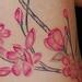tattoo galleries/ - untitled