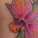 tattoo galleries/ - untitled