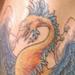 Tattoos - Phoenix - 64932