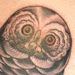 tattoos/ - Owl, skull, and rose tattoo - 51738