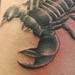 tattoo galleries/ - Scorpion Tattoo - 50590