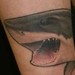tattoo galleries/ - shark tattoo
