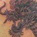 tattoos/ - Dragon Tattoo - 49562
