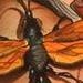 Tattoos - Tarantula hawk - 74798