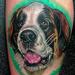 tattoos/ - Portrait of a St. Bernard - 75762