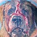 tattoo galleries/ - Cujo