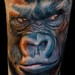 tattoo galleries/ - Gorilla  - 42970