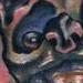 tattoo galleries/ - Vampire bat