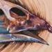 tattoo galleries/ - Bird Skull on tree - 58236