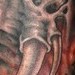 Tattoos - Elephant  - 43457