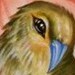 tattoo galleries/ - Have a Heart