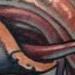 Nautilus Skull Tattoo Design Thumbnail