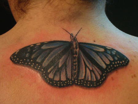 butterfly tattoo london
 on Tattoos > George Scharfenberg > Page 6 > Monarch Butterfly Tattoo