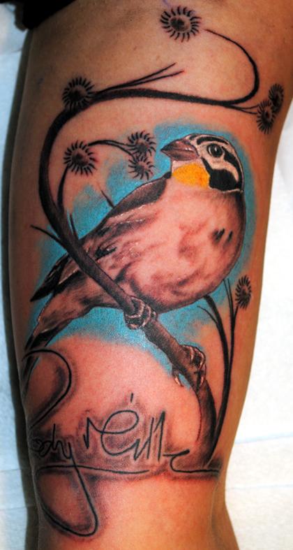 Finch Tattoo Design Thumbnail