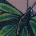 tattoo galleries/ - Butterfly cover up
