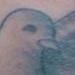 tattoo galleries/ - Dove - 58608
