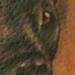 tattoo galleries/ - Duke