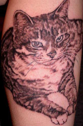 Tattoos - Realistic Cat Tattoo - 26650