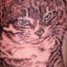 Tattoos - Realistic Cat Tattoo - 26650