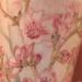 Tattoos - More Cherry Blossoms - 66409