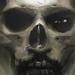 Art Galleries - Skull Morph Portrait Artwork - 56344