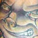 tattoo galleries/ - 1024