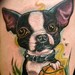 tattoos/ - Boston Terrier - 50988