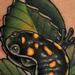 Tattoos - Lizard Tattoo - 64660