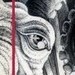 tattoo galleries/ - Kruger Scratchboard - 42262