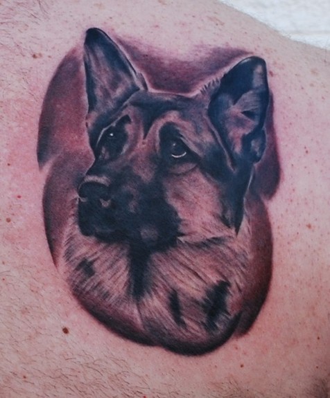 Adam Lauricella - Black and Gray German Shepard Dog Portrait Tattoo