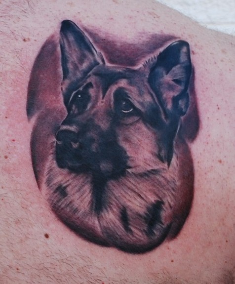 Tattoos - Black and Gray German Shepard Dog Portrait Tattoo - 50202