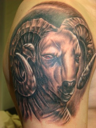 Daniel  - Ram head tattoo