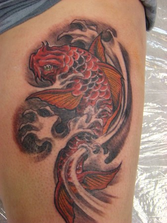 Daniel Koi fish tattoo