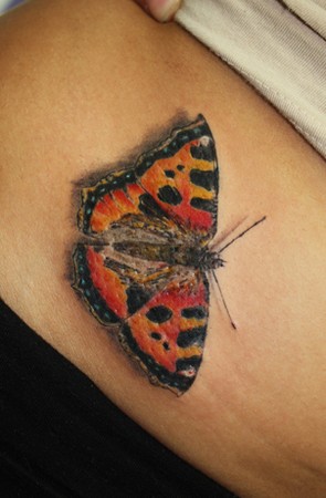 Dmitry Pastukhov - Photo-realistic Butterfly