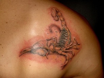 Dmitry Pastukhov - Realistic Scorpian Tattoo