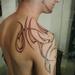 Tattoos - original tribal - 64248