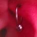 Tattoos - Rook Ear Piercing  - 57783
