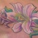 Tattoos - flower tattoo - 48077