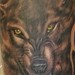 Tattoos - Wolves - 48233
