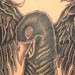 Tattoos - Raven - 36537