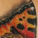 Tattoos - Photo-realistic Butterfly - 45744