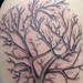 Tattoos - Tree - 33467