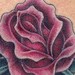 Tattoos - Rose - 34636