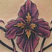 Tattoos - Tribal with Flower and Stars - 33582