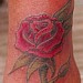 Tattoos - Rose - 33584