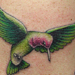Tattoos - Hummingbird - 33613